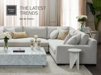 American Signature Files Chapter 11: What Happened?